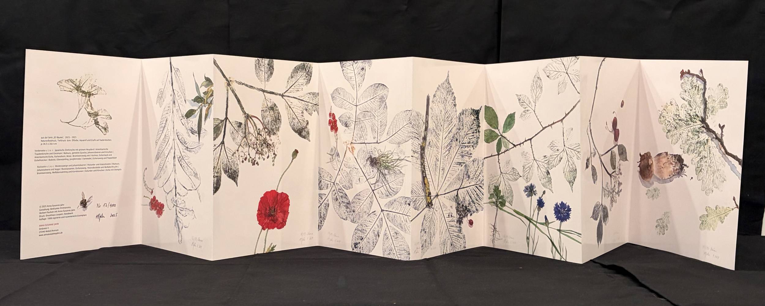 Vorderseite des Leporellos