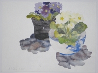 Primeln in chinesischer Schale, 2004, Aquarell und Graphit auf Hadern