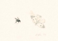 Aus der Serie: Die Fliegen, 2006/07, Monotypie, l auf Japan-Simili-Papier, Plattenformat ca. 7x10 cm